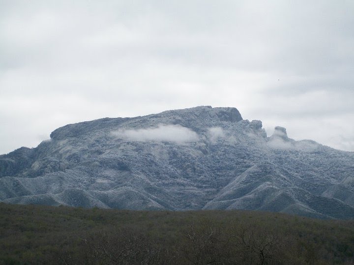 Trabaja UAT proyecto para crear una nueva área natural protegida en Tamaulipas