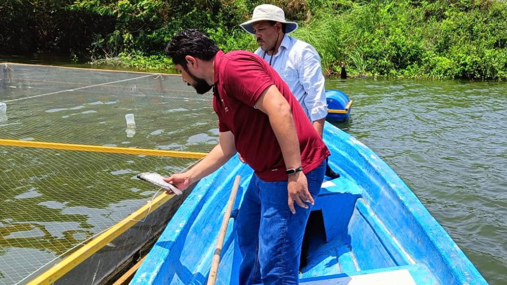 Crece sector pesquero en la zona sur de Tamaulipas