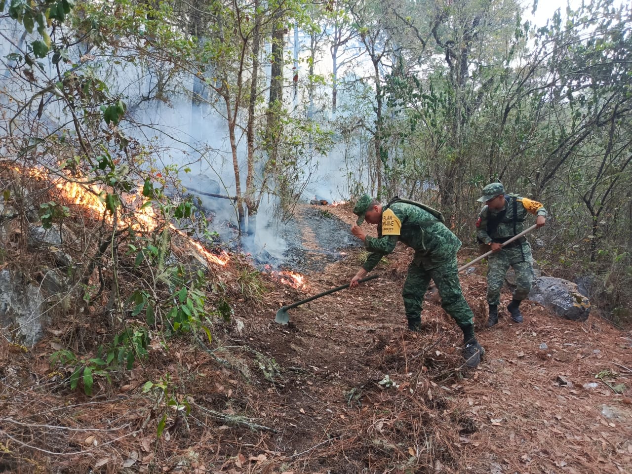 Ejército Mexicano y Guardia Nacional aplican Plan DN-III-E y Plan GN-A, con motivo del incendio ocurridos en Jaumave, Tamaulipas